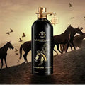 Arabians Tonka